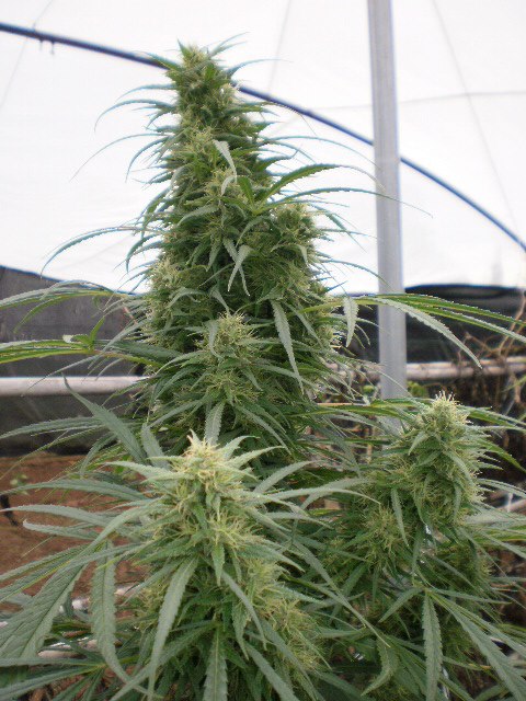 malawi outdoor_2