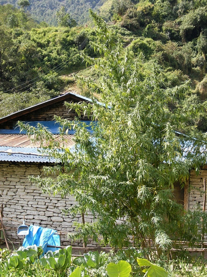 nepal annapurna outdoor