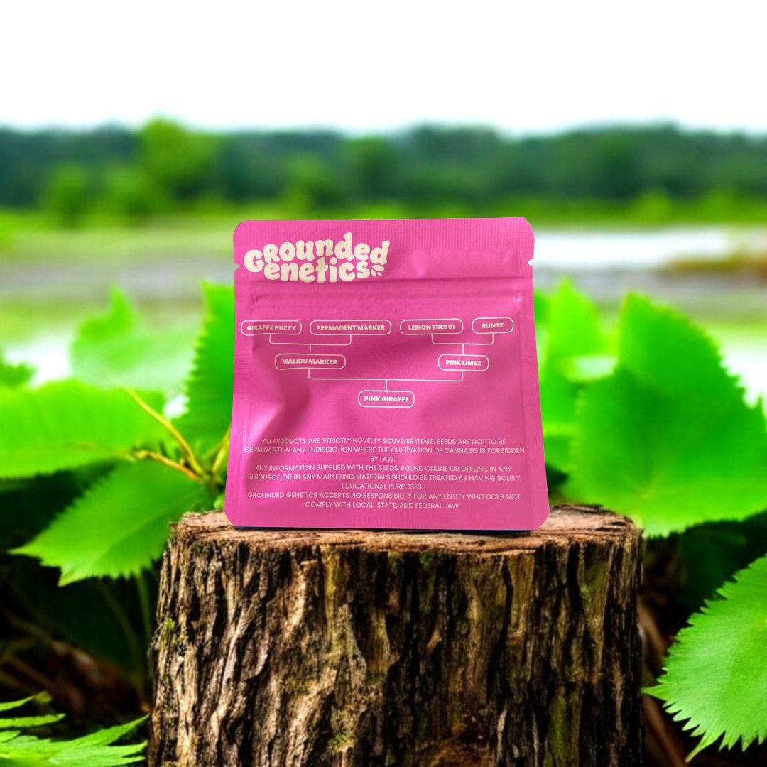 Pink Giraffe Rückseite Seed Pack von Grounded Genetics