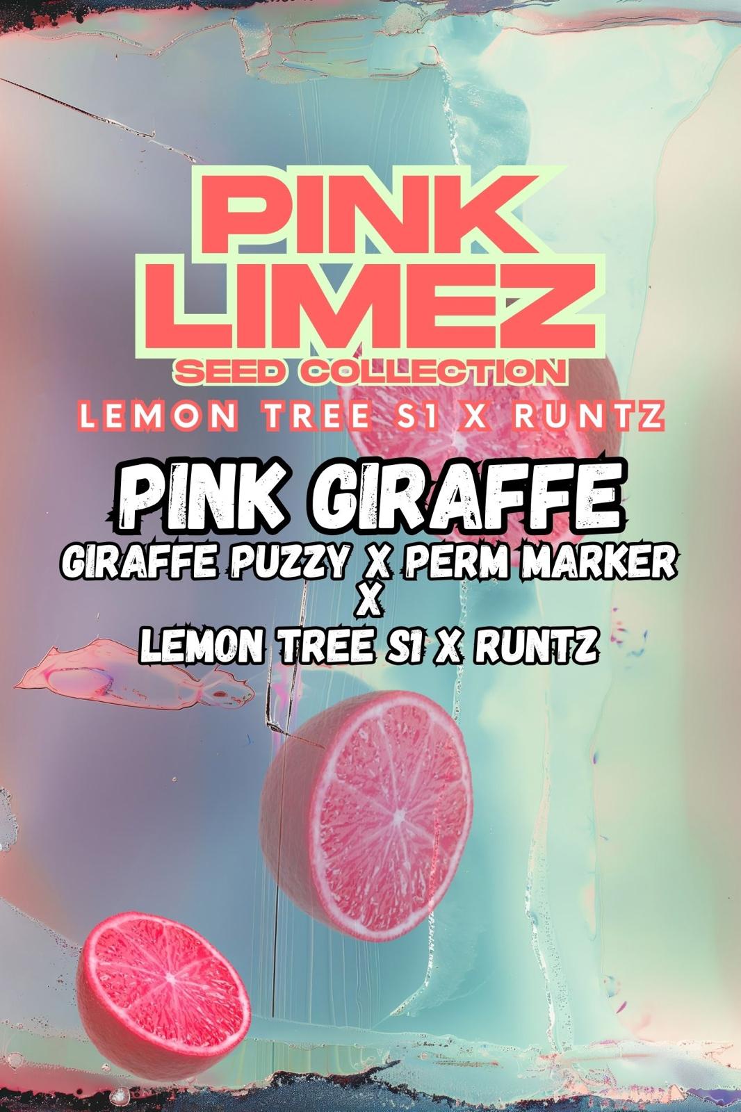 Pink Giraffe Front Cover