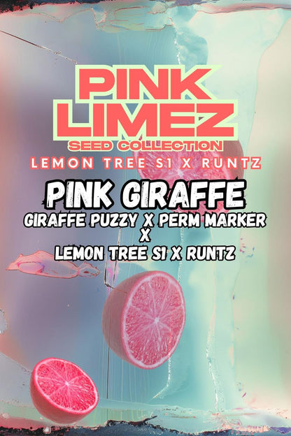 Pink Giraffe Front Cover