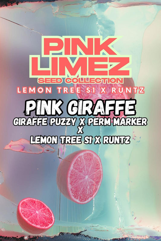Pink Giraffe Front Cover