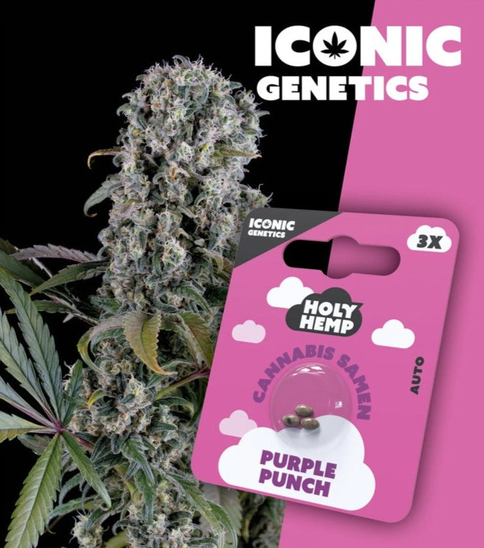 purple_punch_front