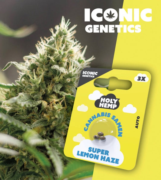 super_lemon_haze_front