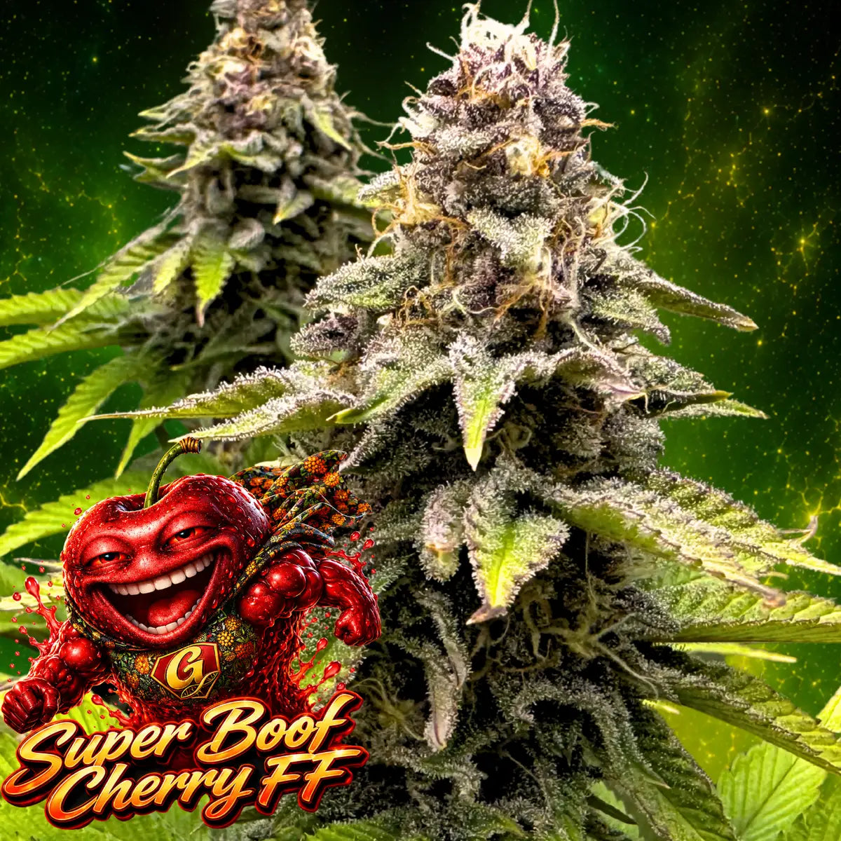 Super Boof Cherry FF Final